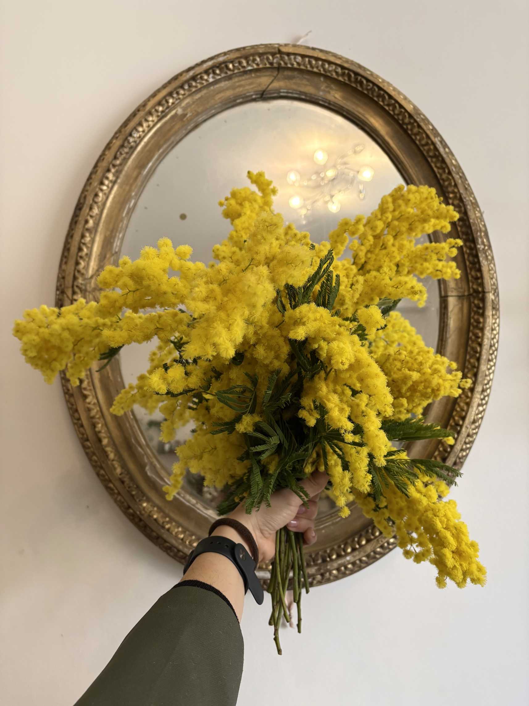 FESTA DELLA DONNA!!!