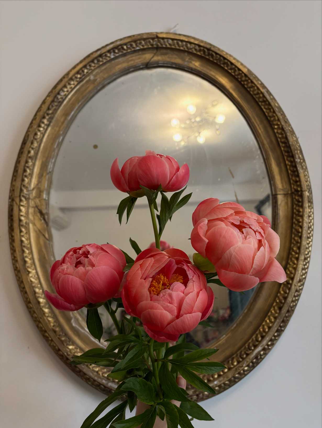 Tempo di primavera!!!